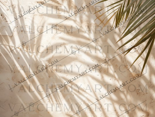 Palm Shadows